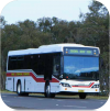 Port Stephens Coaches fleet images